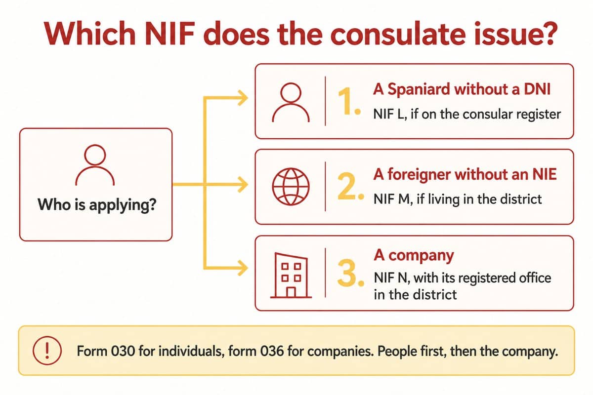 Which NIF does the consulate issue: A Spaniard without a DNI; A foreigner without an NIE; A company