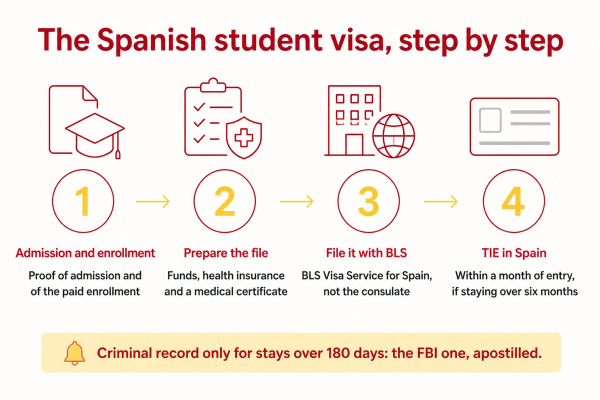 The Spanish student visa, step by step: Admission and enrollment; Prepare the file; File it with BLS; TIE in Spain